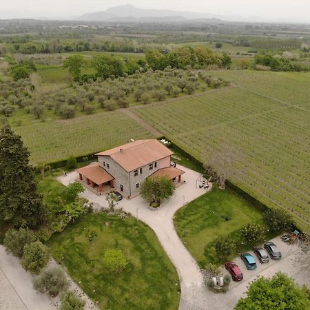 Agrituirsmo Masseria Campierti Falciano del Massico 외부 사진