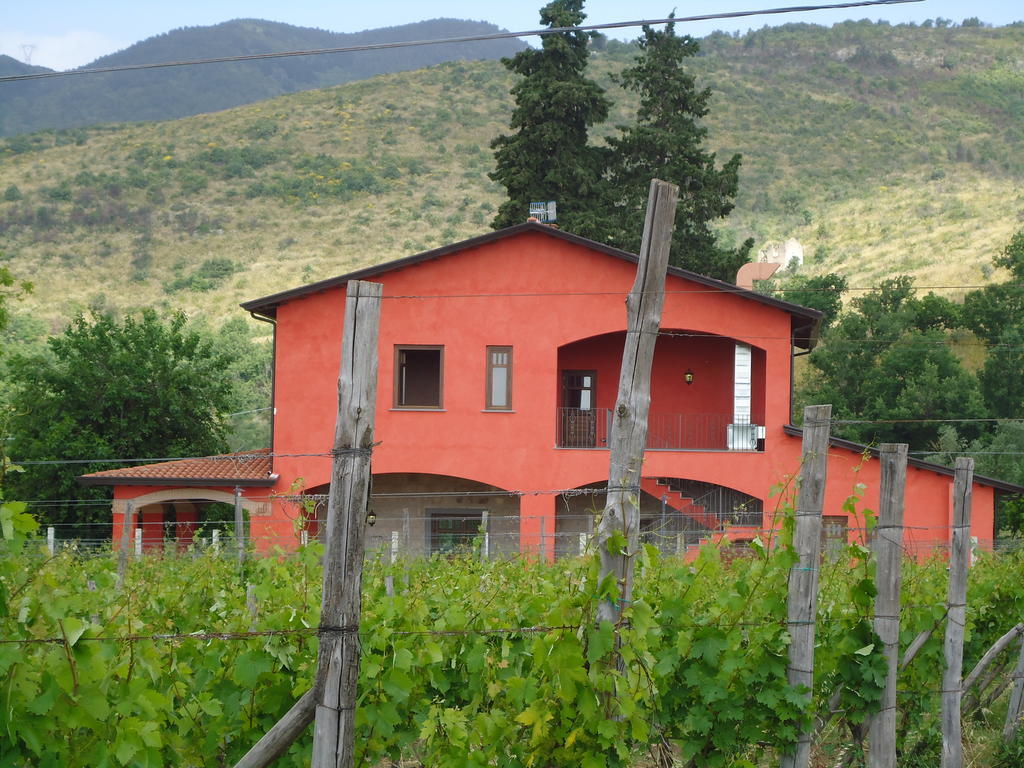 Agrituirsmo Masseria Campierti Falciano del Massico 외부 사진