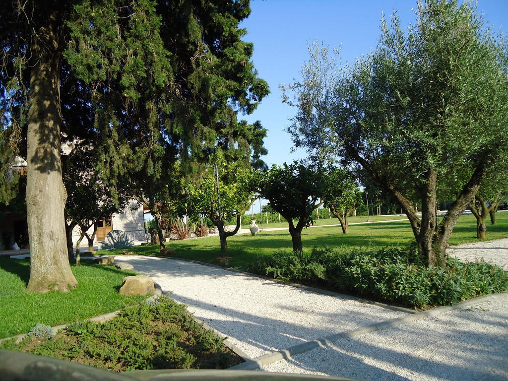 Agrituirsmo Masseria Campierti Falciano del Massico 외부 사진